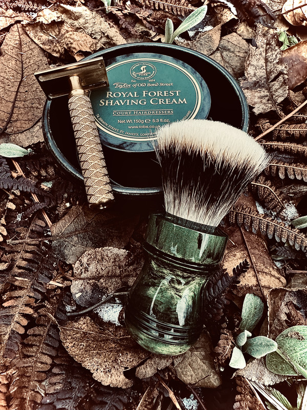SOTD 20260124