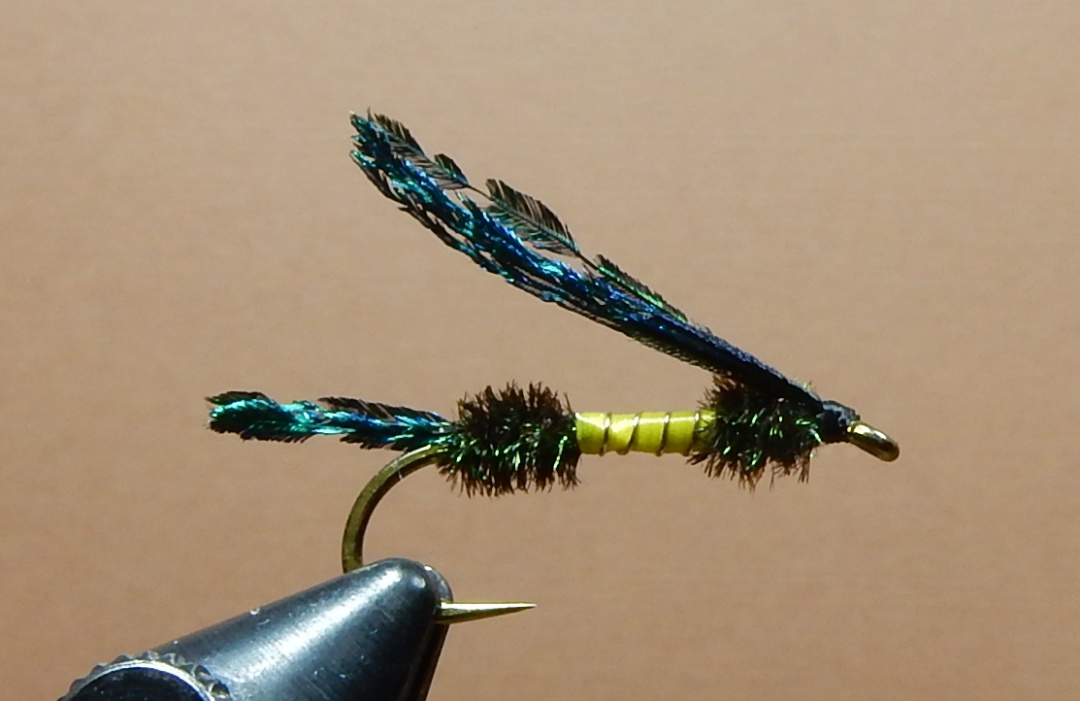 Caddis-Creeper-1080.jpg Caddis-Creeper-1080.jpg