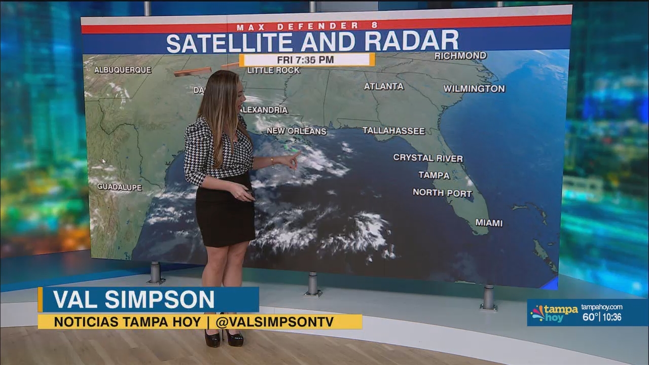 Noticias Tampa Hoy_20250301_03300400.ts_snapshot_07.04.232