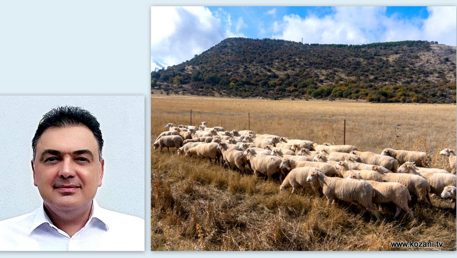 κοζάνη, ειδήσεις, νέα, Πτολεμαΐδα