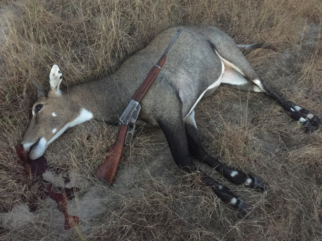 A7B86FC0-1886-405B-9A5B-1FE5D225FC2A