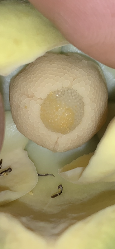 5AAB5B79-F612-452B-B9BE-8407D0008C9F