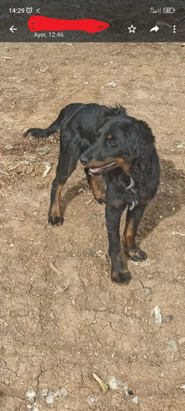 photo_2023-03-24_08-06-55 (9)