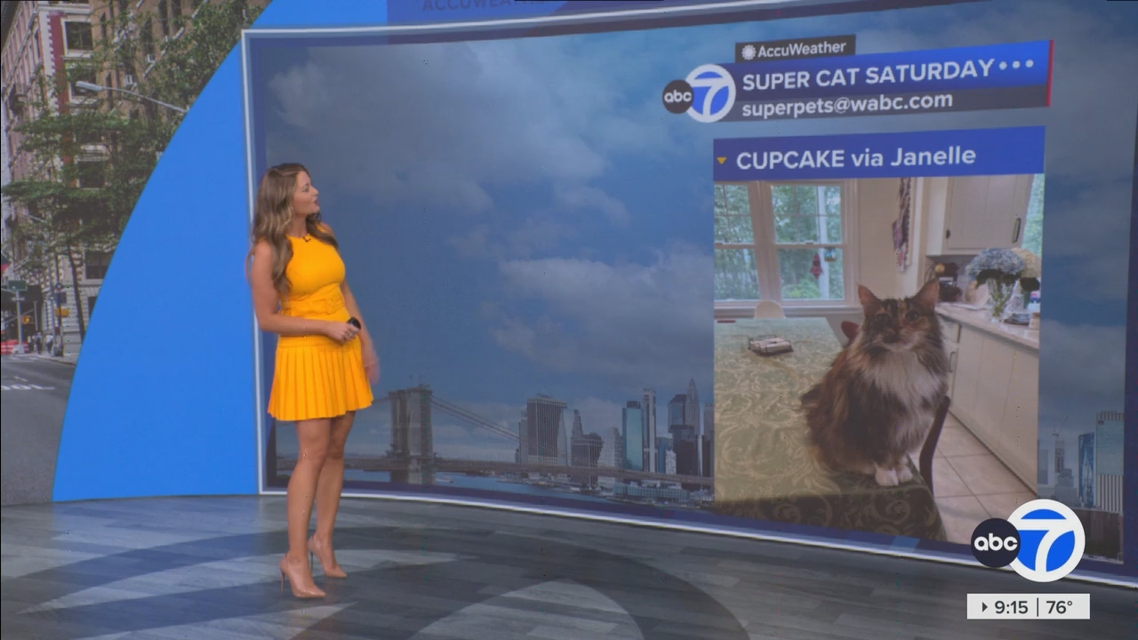 Eyewitness News This Morning_20250719_14001500.ts_snapshot_16.07.964
