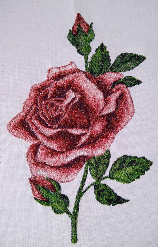 Violana  ?оза от Катрин