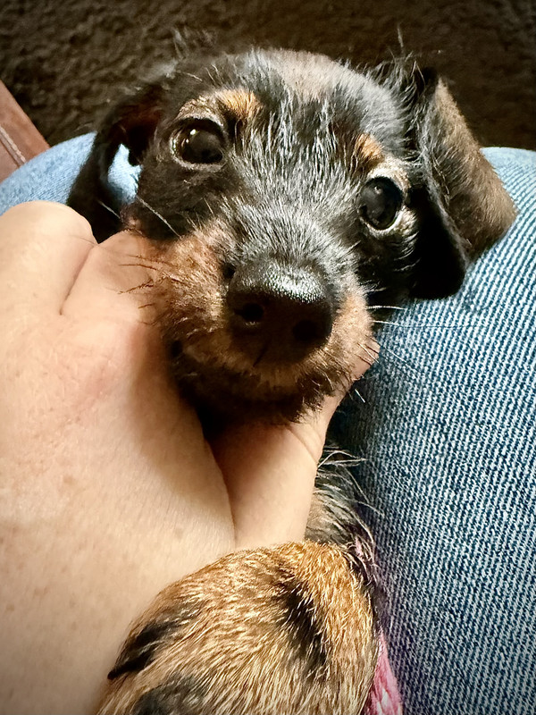 [Image: IMG-1427.jpg]