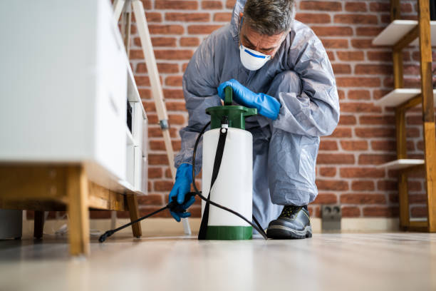 Here Are Some Tips To Help You Pick The Most Appropriate Pest Control  Company - Inspireandloveyourself