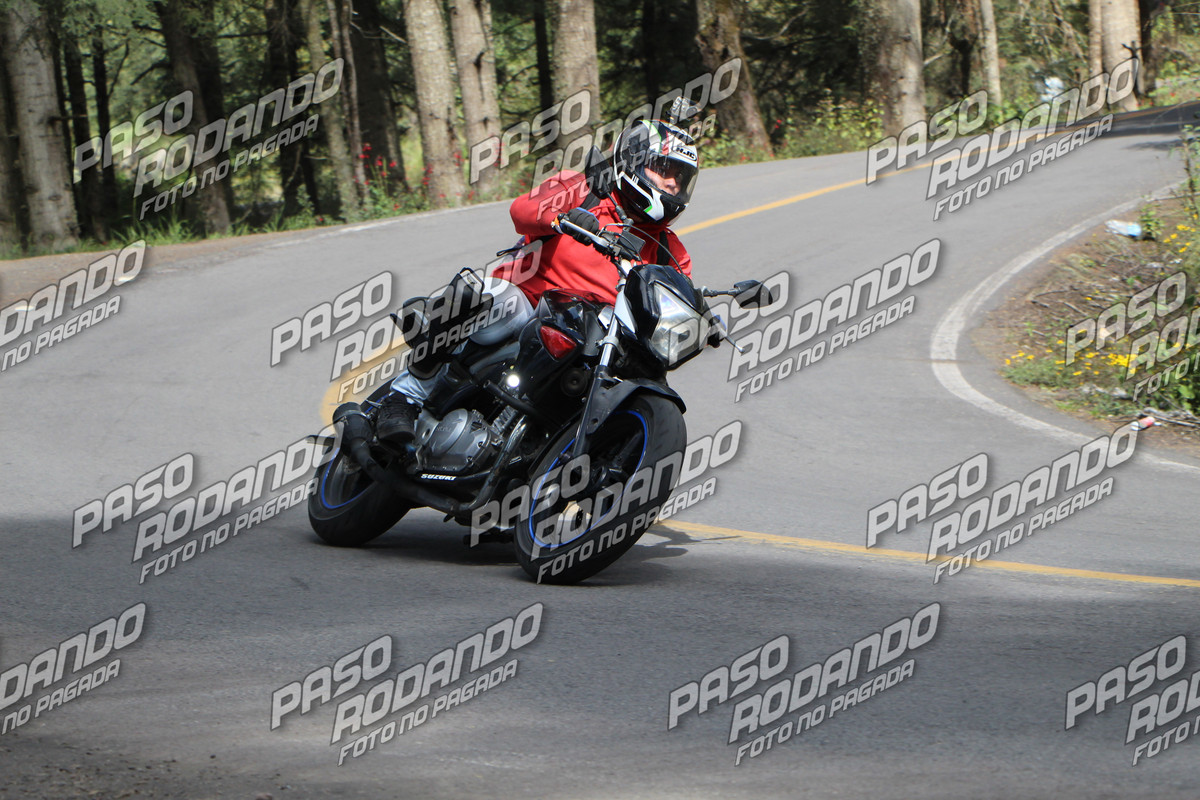 IMG 8439 wm 81452 5 watermarked — Postimages