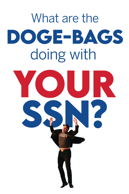 20x30 Doge-Bags (SSN version)