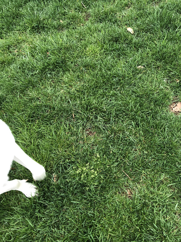 623B7D57-FE39-427B-8F0F-39235921743D