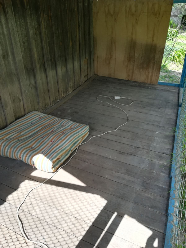 изображение_viber_2020-05-31_13-33-54