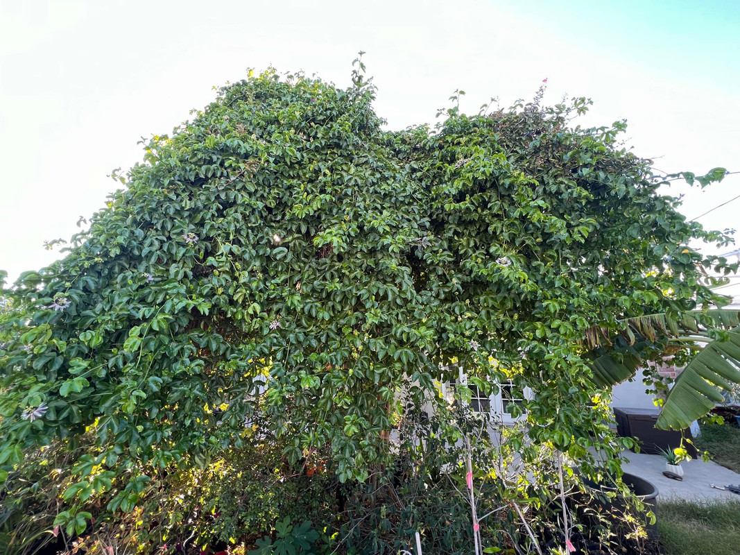 236331B7-7578-4C97-88BE-31155A68C4F5