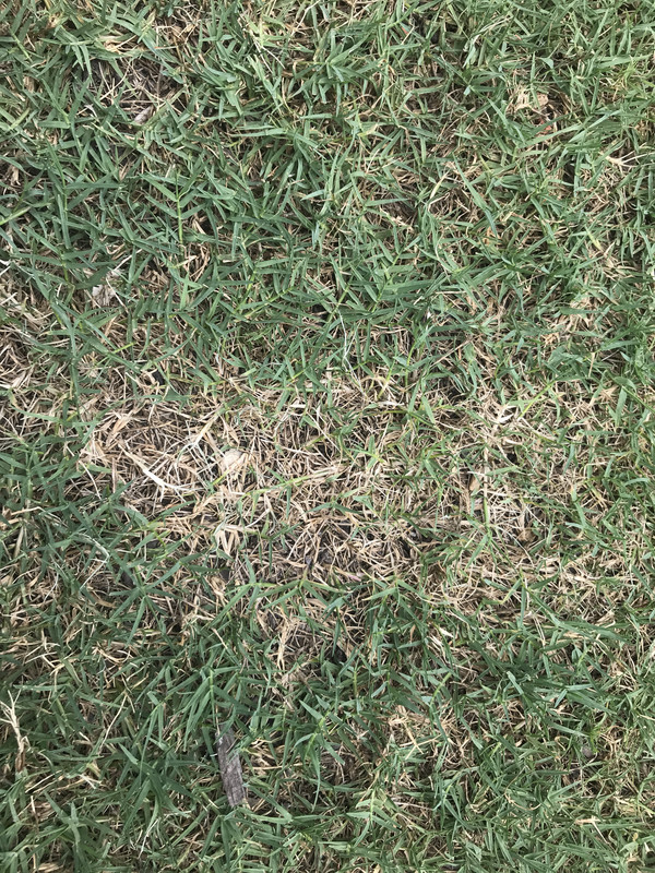 9056681C-CF5F-47C6-85F6-E874F57D77F3