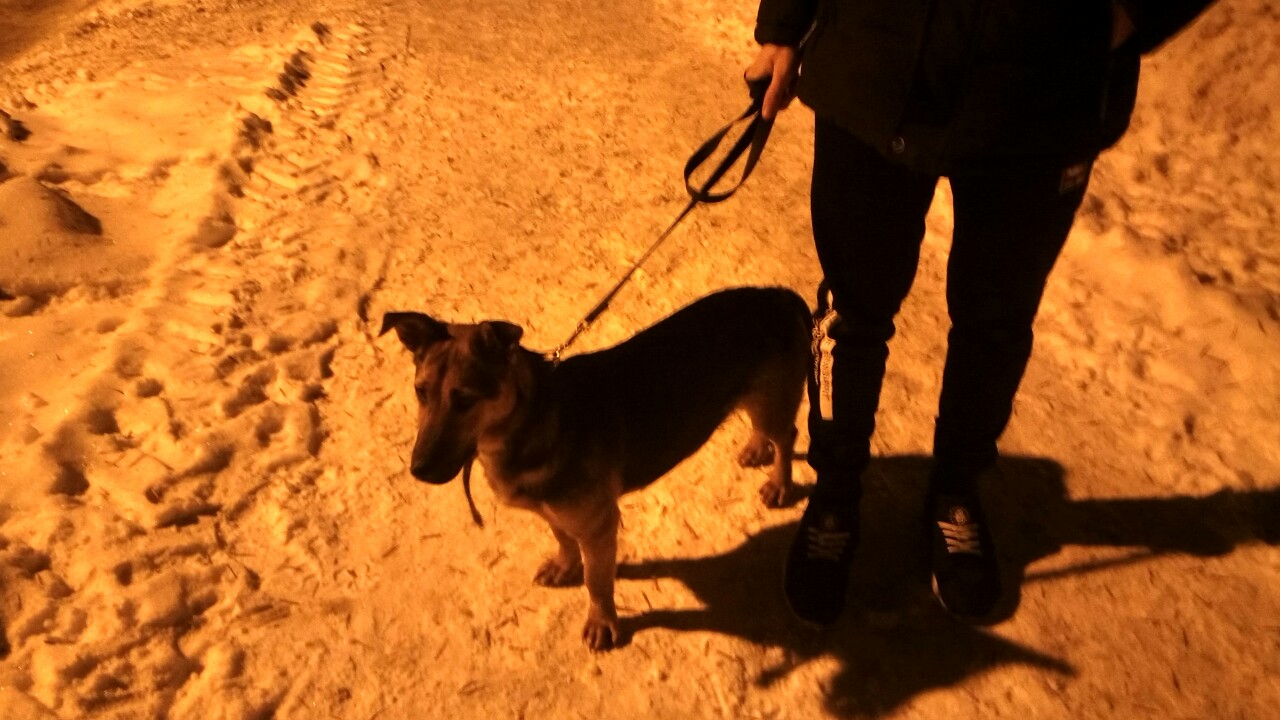 IMG-3e600e43e3c80fc7ae3e5c9ffad5c9a7-V