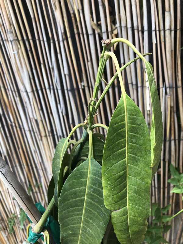 325D2F28-B238-4350-AE11-B796C89E02E1