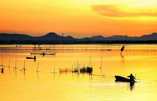 Thơ họa Nguyễn Thành Sáng & Tam Muội (801) Huynh-Phu-Chau1