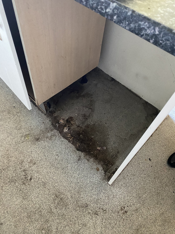 24D2CDE4-29FE-45FB-BBAD-904873AA5B81