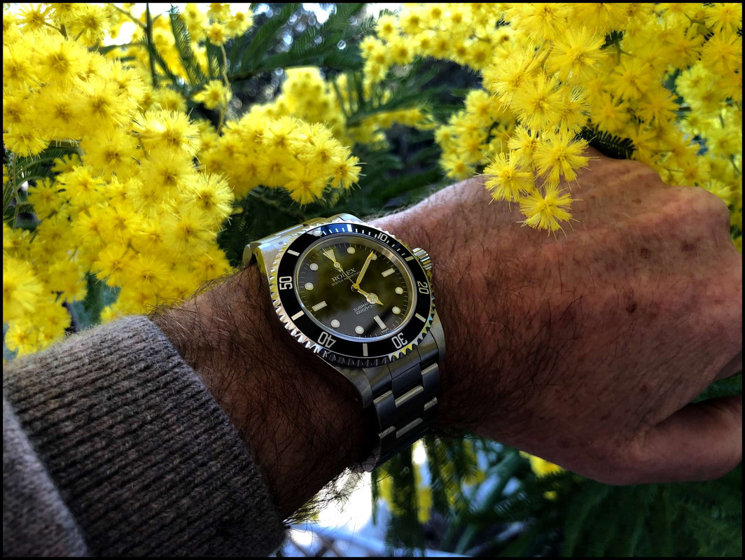 HOMMAGE à ZEN : ici notre plus beau bouquet de ROLEX ! - Page 3 IMG-8089