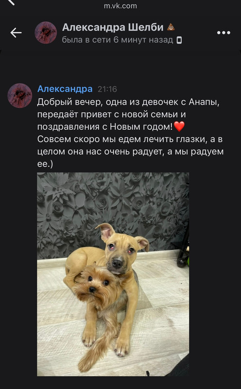 EC9D6608-F972-4A96-8299-06DC37AE7D79