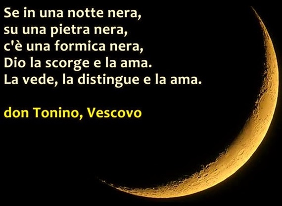 Per diventare santo impara dalla formica dans Fede, morale e teologia In-una-notte-nera-su-un-sasso-nero-una-formica-nera