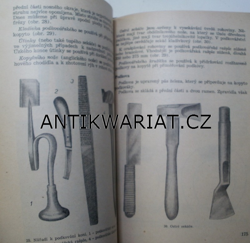 11a-AWECKO00009