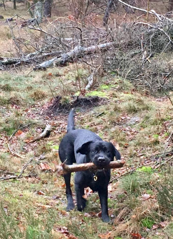 AC6DC334-7DB9-466D-A111-E77A8F9523BB