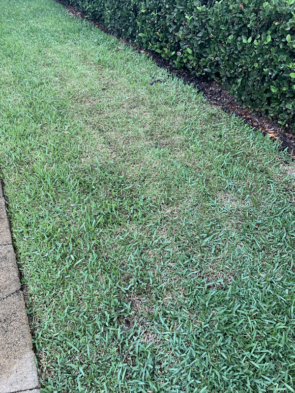 4699D632-6DD6-44D5-8375-AB972EA25EF8