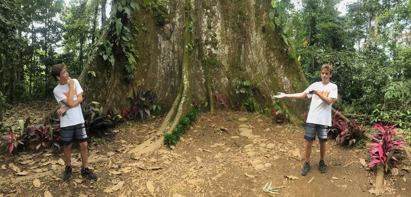 DIA 10: RIO CELESTE - DE TORTUGAS Y PEREZOSOS. COSTA RICA 2019 (50)