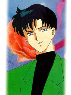 Mamoru Rathbun Rank each art director's Mamoru design | Sailor Moon x Suburban Senshi ...