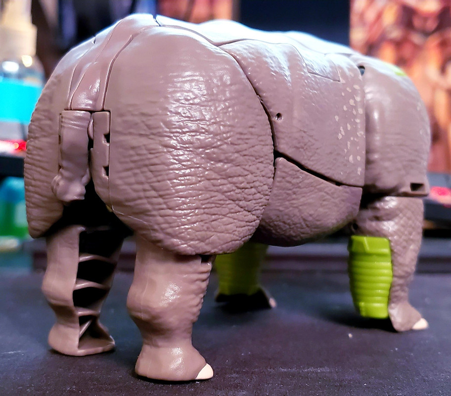 Kingdom-Rhinox-In-Hand-Images-20