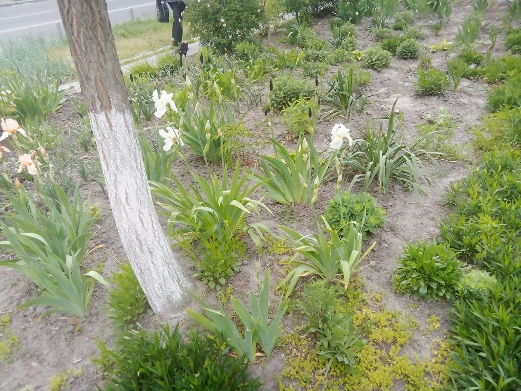 photo_2025-05-17 10.03.38 дп