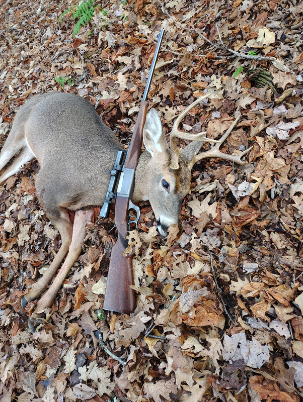 IMG 20251124 090438733 HDR