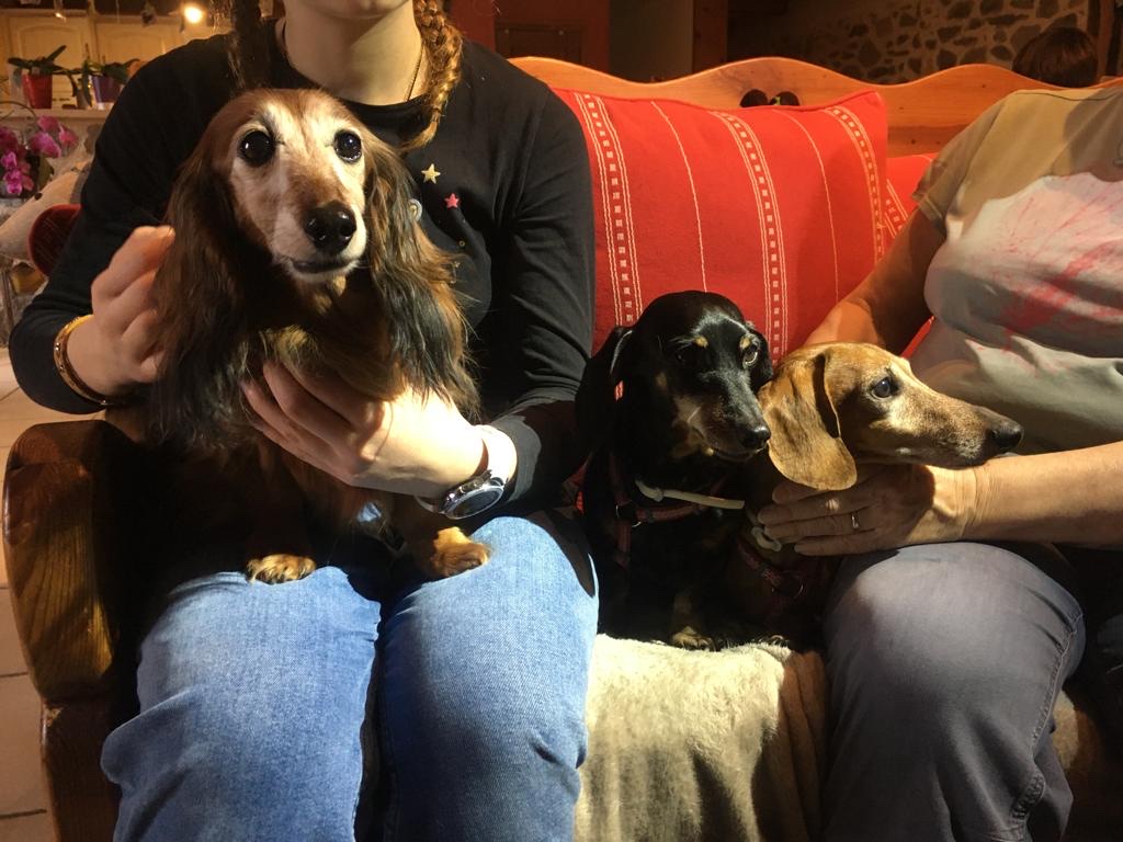 [Image: D88-E56-D3-577-C-4-F8-B-8019-5-A8-EAC06-A69-D.jpg]