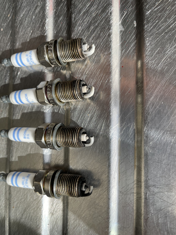 F424C963-DC1F-4A0B-856F-C7E76DA98010