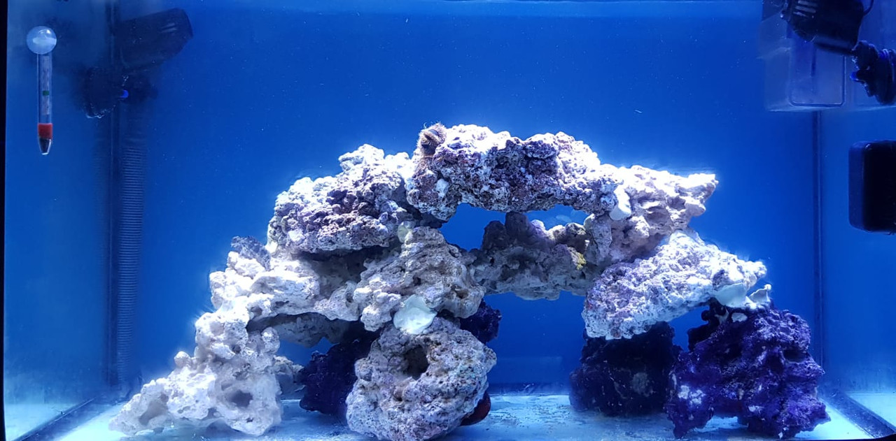 65DFB65B-B5D1-4959-BEB9-ACA5D79CBDC6