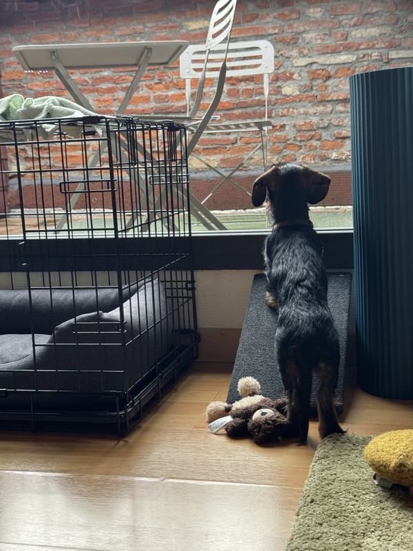 [Image: IMG-2383.jpg]