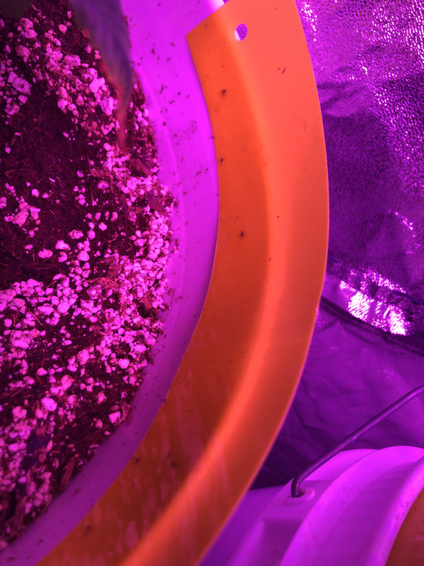 10A9C686-857B-4D67-A03D-90AF65A6CC5B