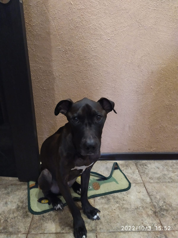 CC5EAB7D-970F-4DBC-8F42-78E939217B95