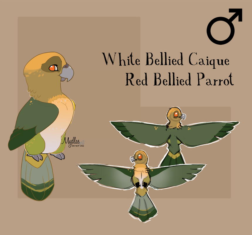 parrot-concept4.jpg
