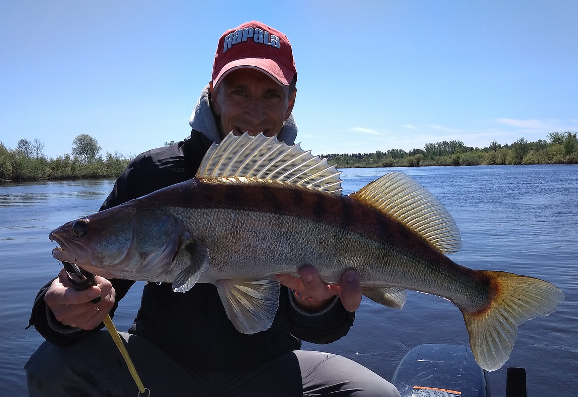 Тряхов Алексей джиг спиннинг рыбалка приманка для джига видео дж