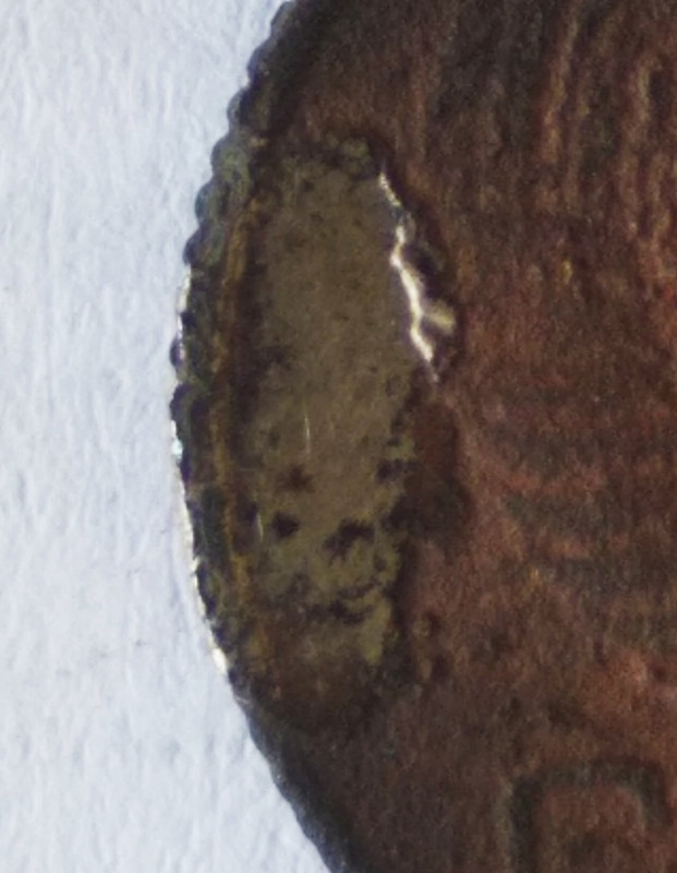 изображение_viber_2023-09-11_18-27-03-997