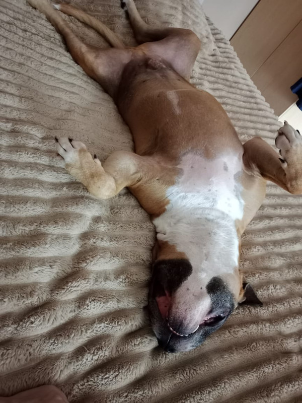 944DCD56-A414-457B-8477-97BCDFB7F040