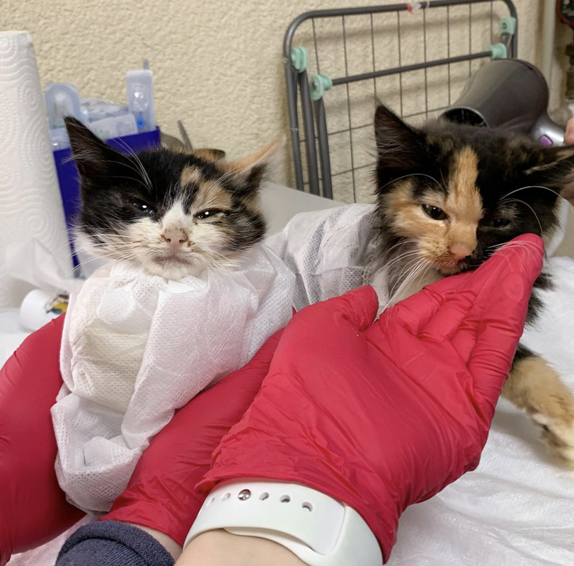 9E1C99C4-C46C-4871-A232-7F89701B3CFB