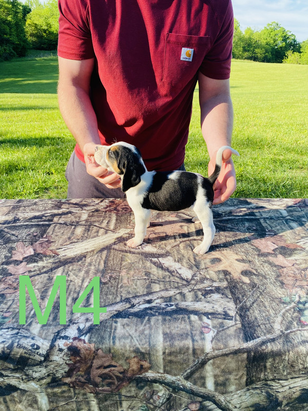 BC5F5FF9-A160-43AD-8C31-1DD2C6C2D79F