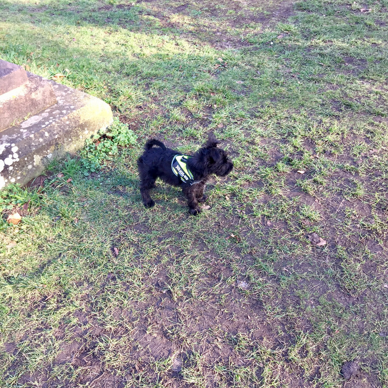 C2FF708A-D850-4FA9-A089-781FD36B31AB