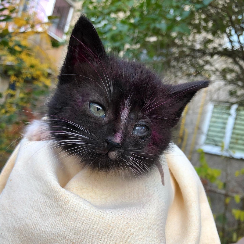 9D77B0A7-262C-4890-A4E8-752256325506