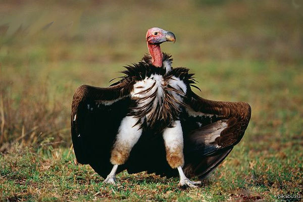 1425236826_902968235