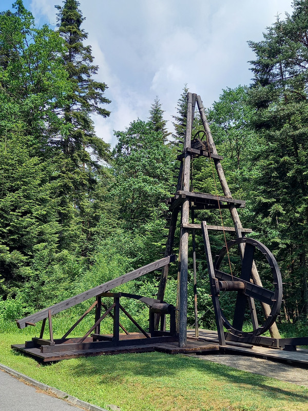 04.13 - 20220617_111446 (TomaszL)