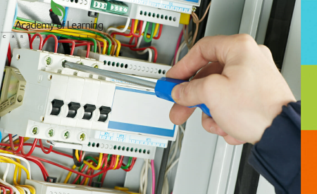 Professional Electrical Inspection Course with Certificate