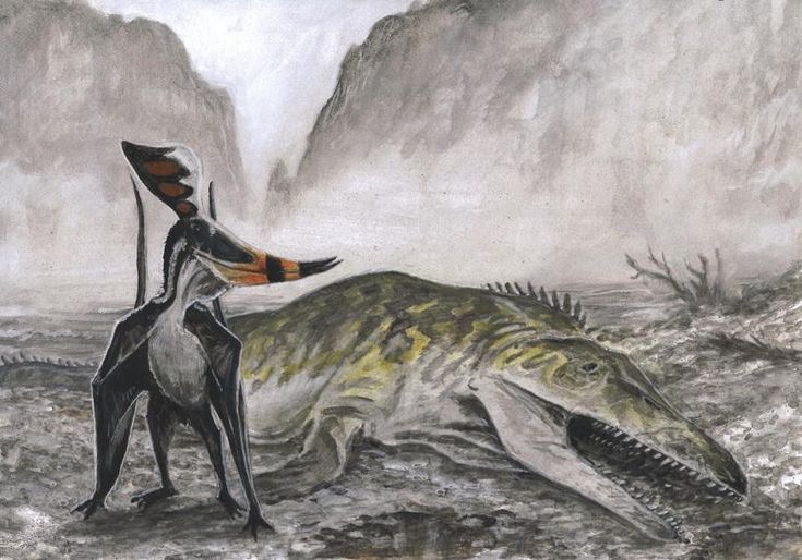 6e4512934c557efa05089375dd8b222e (1)